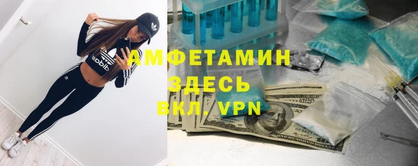 ПСИЛОЦИБИНОВЫЕ ГРИБЫ Беломорск