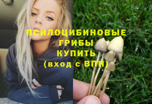 ПСИЛОЦИБИНОВЫЕ ГРИБЫ Беломорск