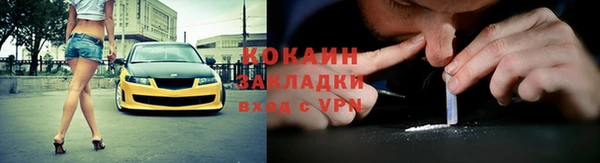 сатива Белокуриха