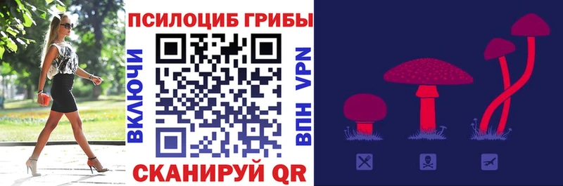 Галлюциногенные грибы Magic Shrooms  Купить закладки  Арсеньев 